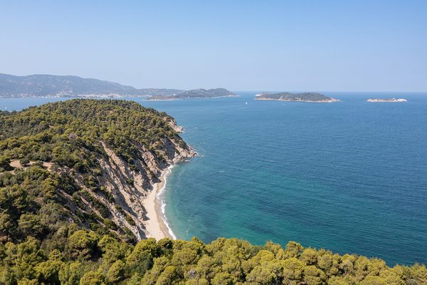 Pine forest, Skiathos